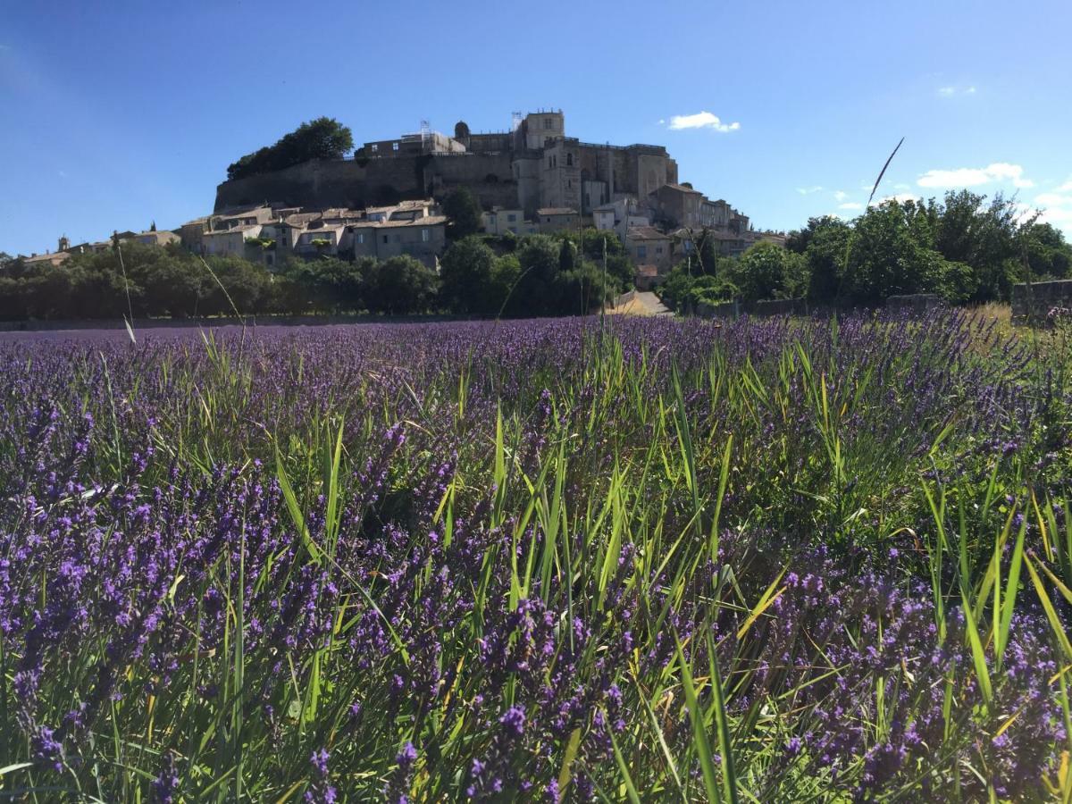 La Vie De Chateau Grignan Exterior photo
